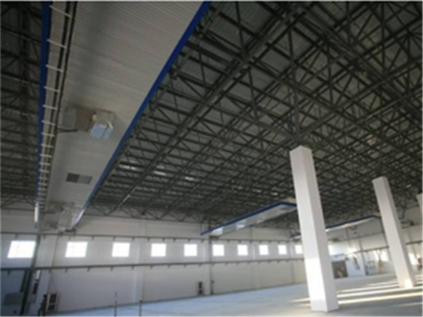 大安仓储物流网架生产厂家案例